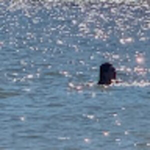 Meet your Posher, Bianca